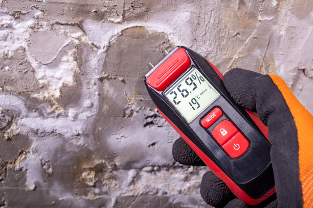 Yonkers, NY Mold Removal Company