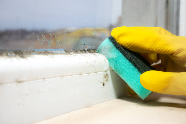 Best Residential Mold Removal  in Yonkers, NY
