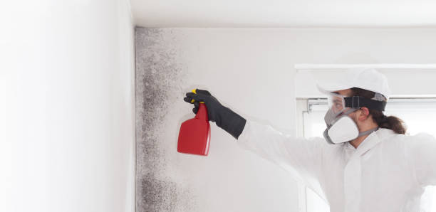 Best Attic Mold Removal  in Yonkers, NY