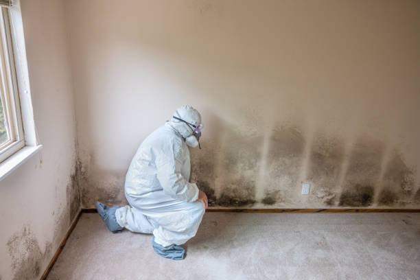 Best Mold Testing  in Yonkers, NY